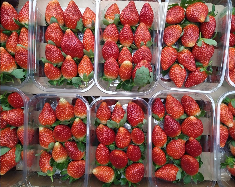 Strawberries